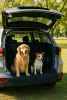 Precious Tails Co-Pilot Waterproof Car Seat Bench Cover